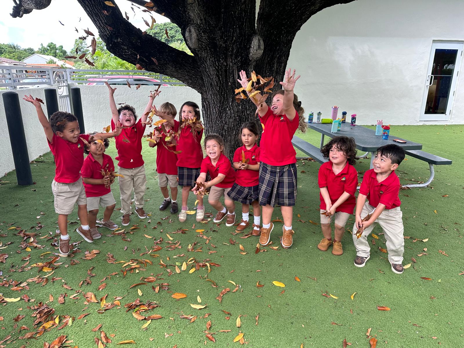 gabless montessori miami